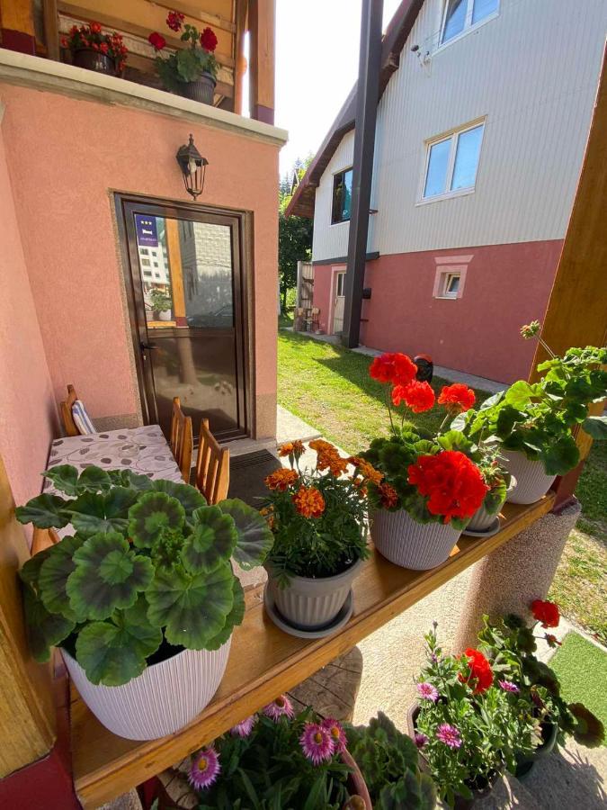Apartman Kaljevic Apartamento Žabljak Exterior foto